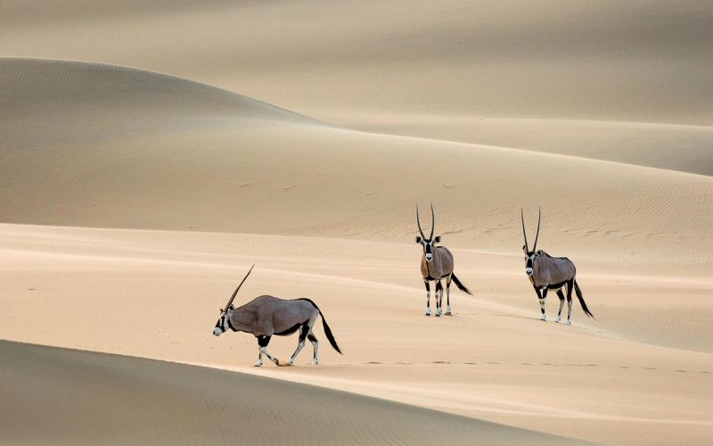Namibia