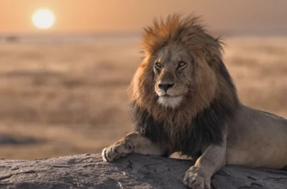 12-Day Best of Kenya Tanzania Luxury Safari