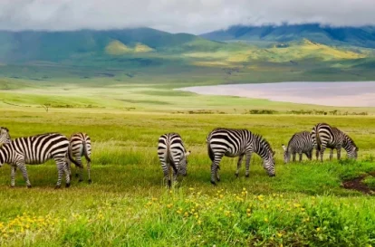 6-Day Tanzania Nature Safari