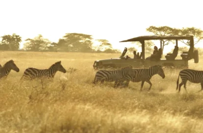 8-Day Tanzania Migration Footsteps