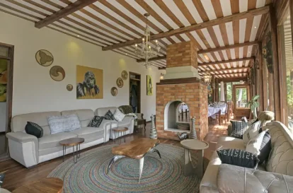 Four Gorilla Lodge (3)