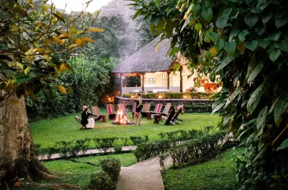 Gorilla Forest Camp - Bush2City (7)