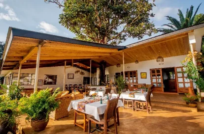 Simba farm