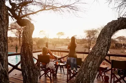 Tarangire Simba - Bush2City (2)