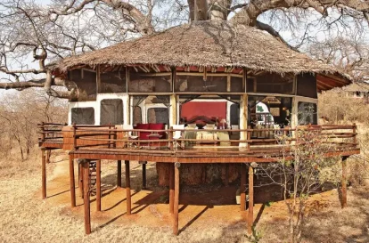 Tarangire Treetops - Bush 2 City