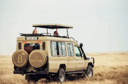 african safari (2)