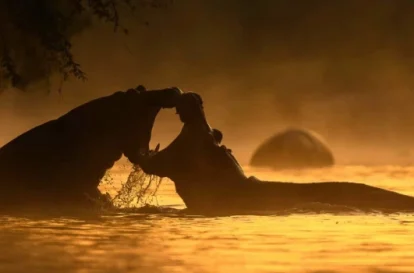 day in ol pejeta (2)