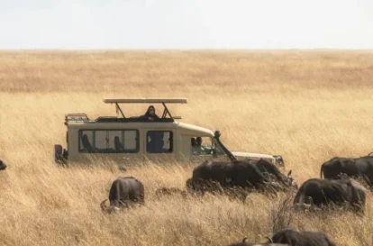 day in serengeti (26)