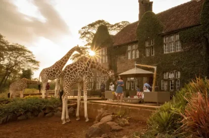 giraffe manor