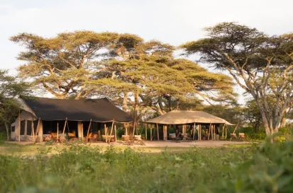 nyasi migration camp - bush2city