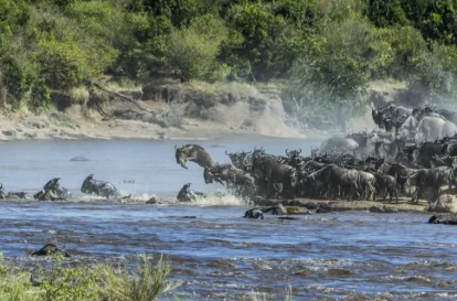 serengeti national park